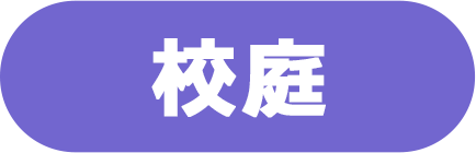 文化体育祭